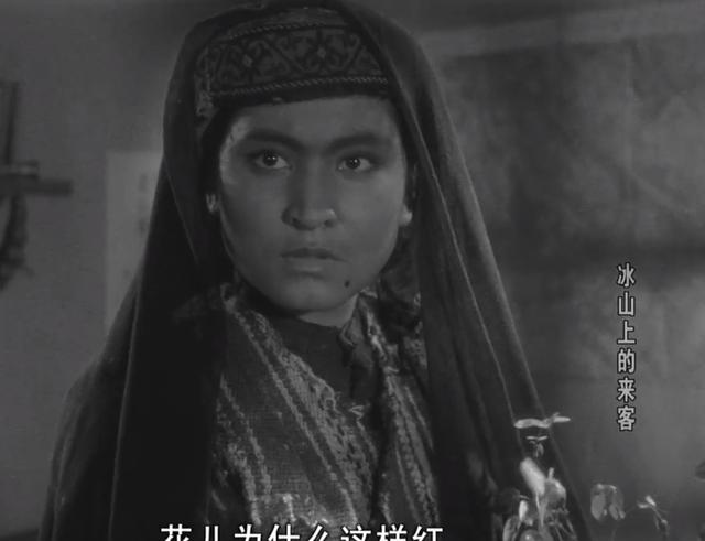 冰山上的来客剧情介绍(冰山上的来客剧情介绍大结局)