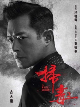 扫毒2剧情详细介绍(扫毒2电视剧演员介绍)