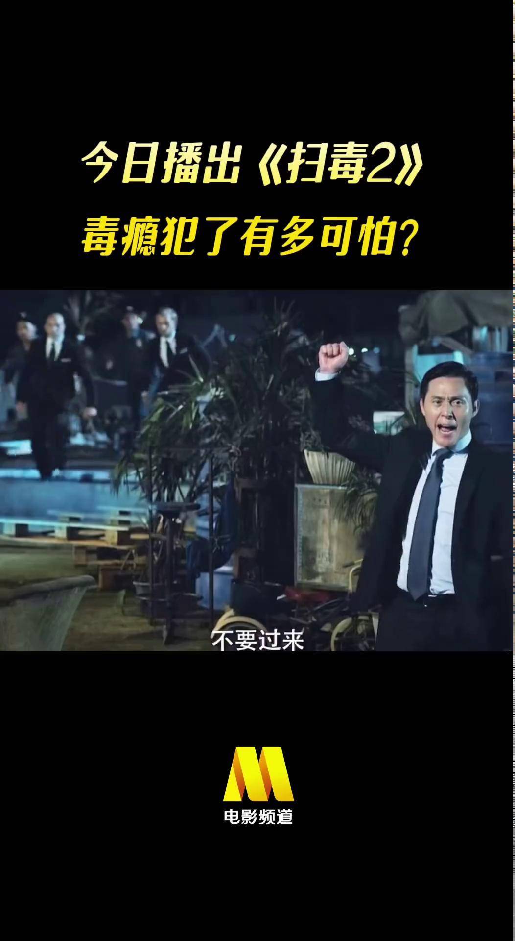 扫毒2剧情详细介绍(扫毒2电视剧演员介绍)