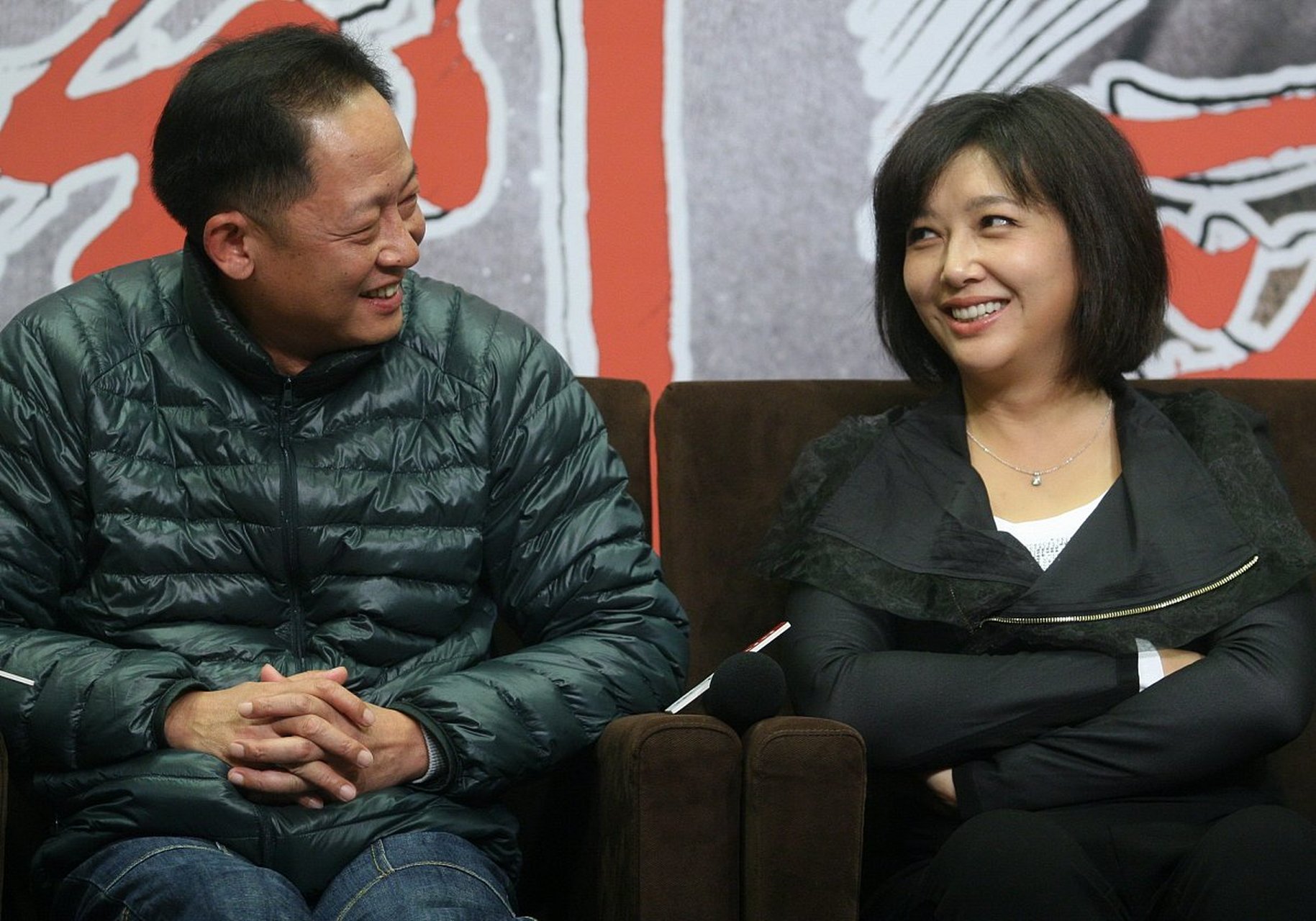 江珊王志文主演的电视剧(江珊王志文主演的电视剧大全)