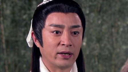 包青天之碧血丹心分集剧情介绍(包青天之碧血丹心全部剧情免费介绍)