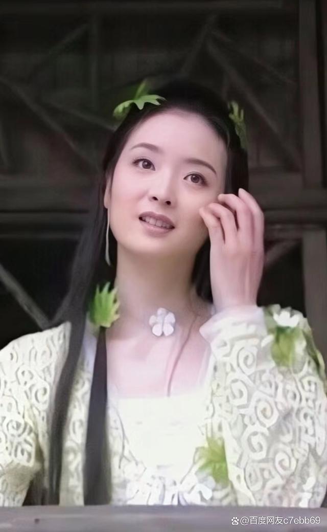 王艳主演的电视剧(王艳主演的电视剧中的下岗女工是什么电视剧)