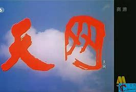 天网孽情剧情介绍(天网孽情剧情介绍大全)