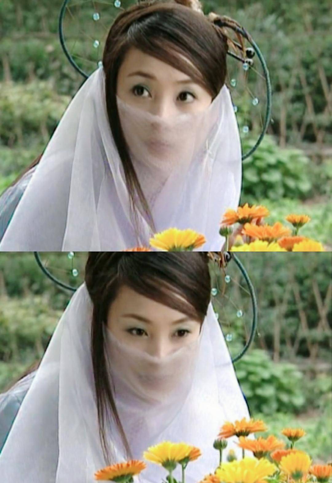 蒋勤勤主演的电视剧(蒋勤勤主演的电视剧小凤仙在线观看)