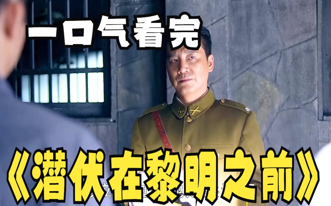 潜伏在黎明前剧情介绍(潜伏在黎明前剧情介绍分集介绍)