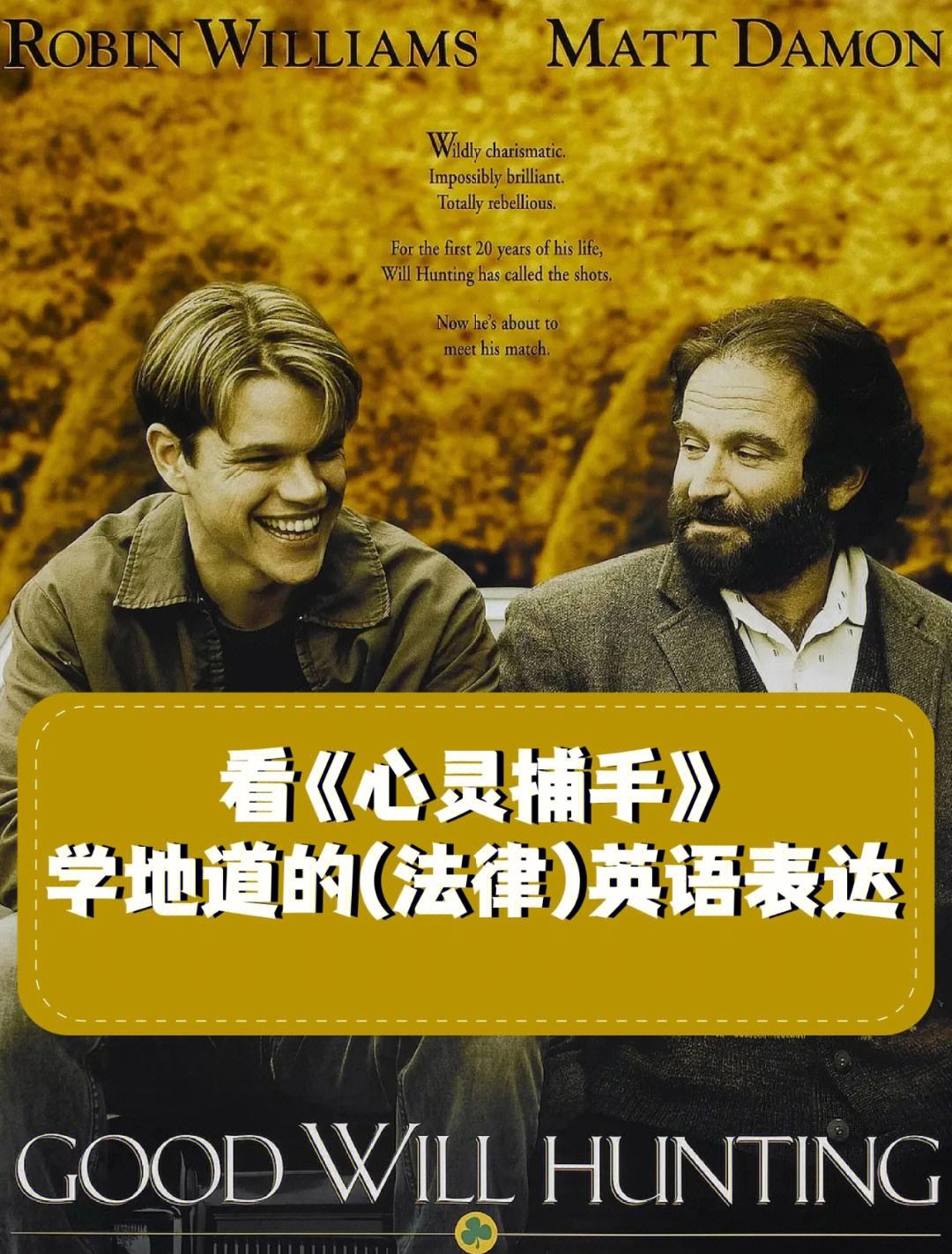 心灵捕手剧情介绍(心灵捕手剧情介绍大全)
