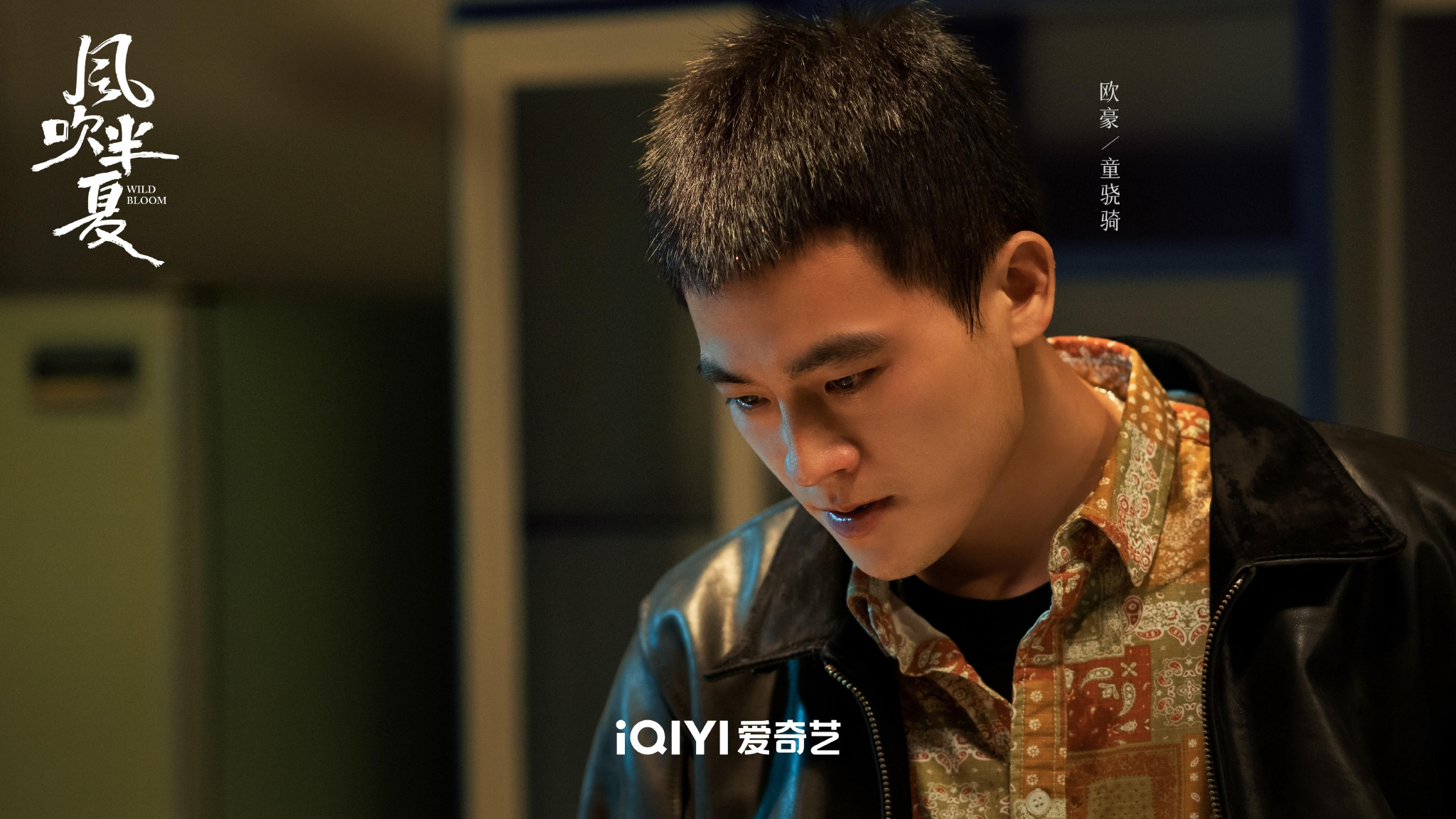 欧豪主演电视剧(欧豪主演电视剧有哪些)