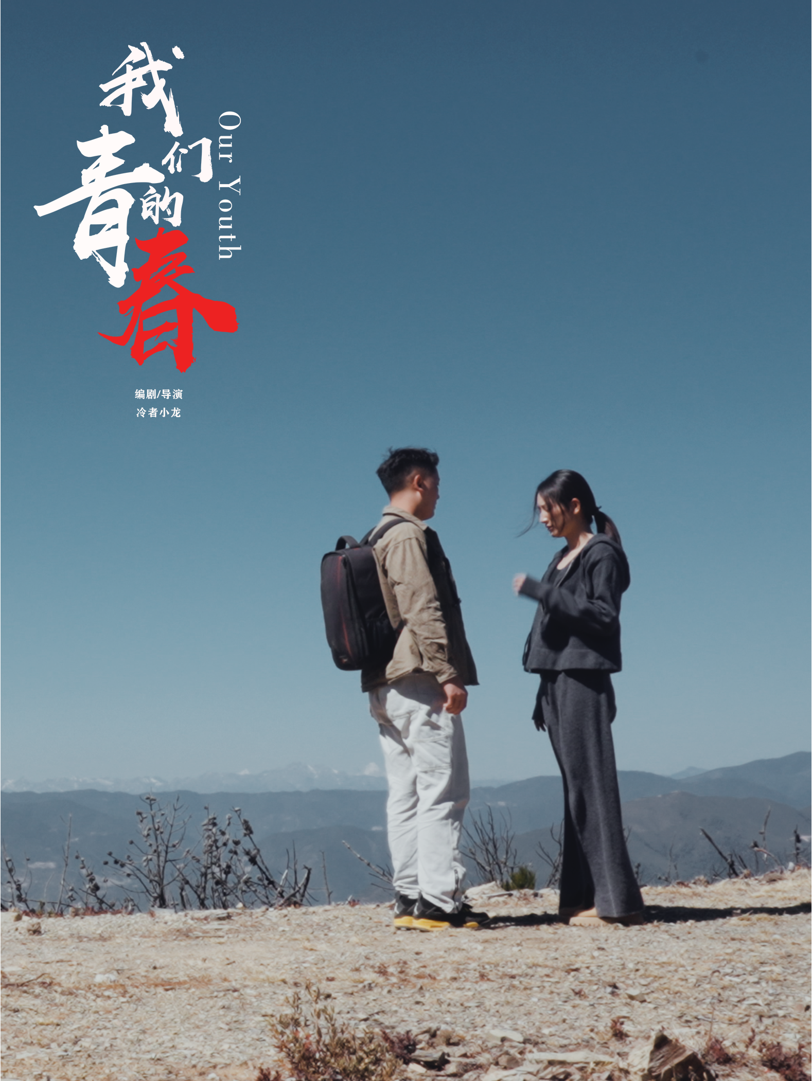 我们的知青年代剧情介绍(我们的知青年代剧情介绍楚若枫结局)