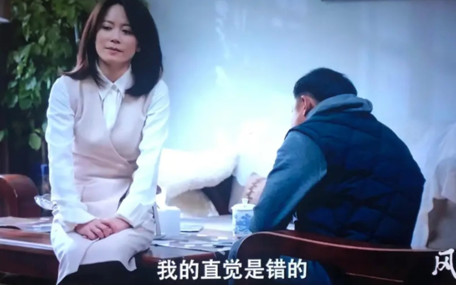 风雨送春归剧情介绍(风雨送春归剧情介绍演员名单)