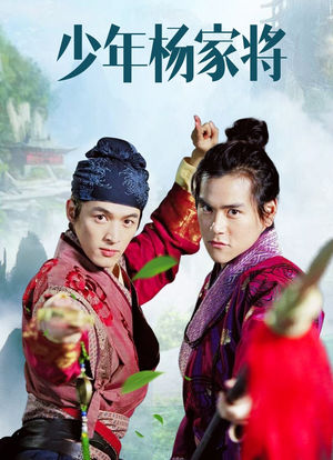 少年剧情详细介绍(少年剧情详细介绍结局)