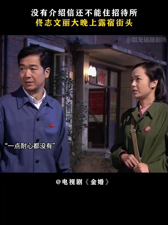 金婚剧情介绍(金婚剧情介绍全集)