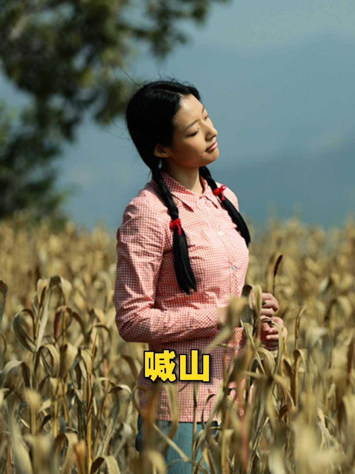 电影喊山剧情介绍(电影喊山剧情介绍大全)