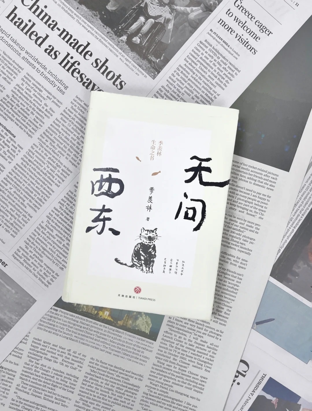 无问西东剧情介绍(无问西东剧情介绍 简短)
