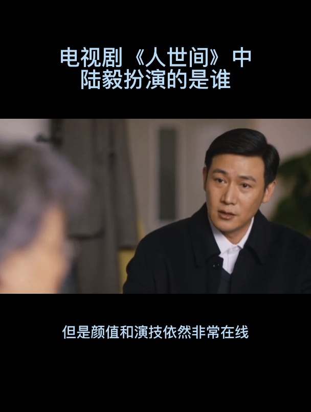 陆毅主演的电视剧(梅婷陆毅主演的电视剧)