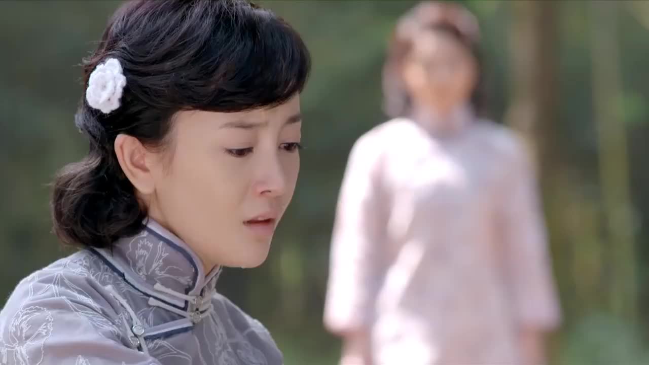 碧血书香梦剧情介绍的简单介绍