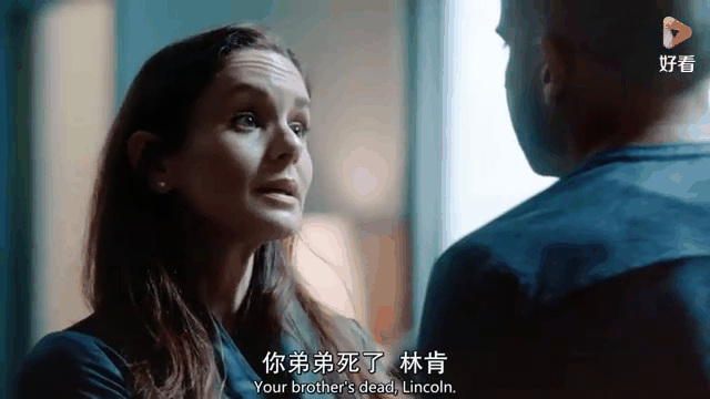 越狱第二季剧情介绍(越狱第二季剧情介绍电影)