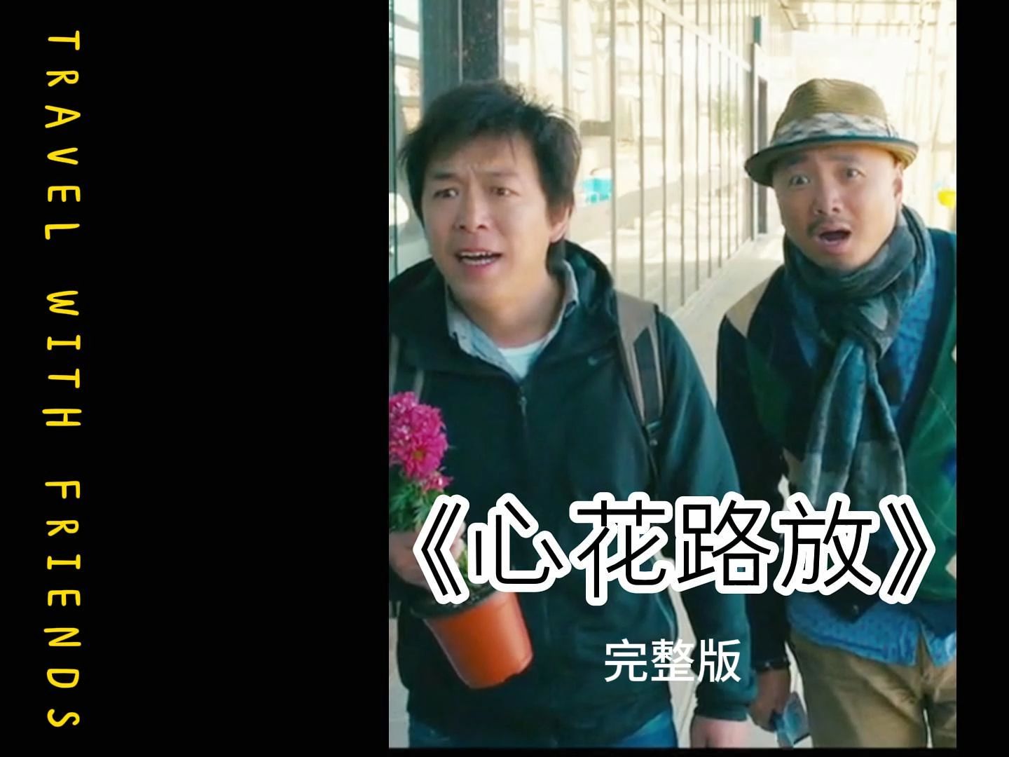 心花怒放主演(心花怒放主演表)