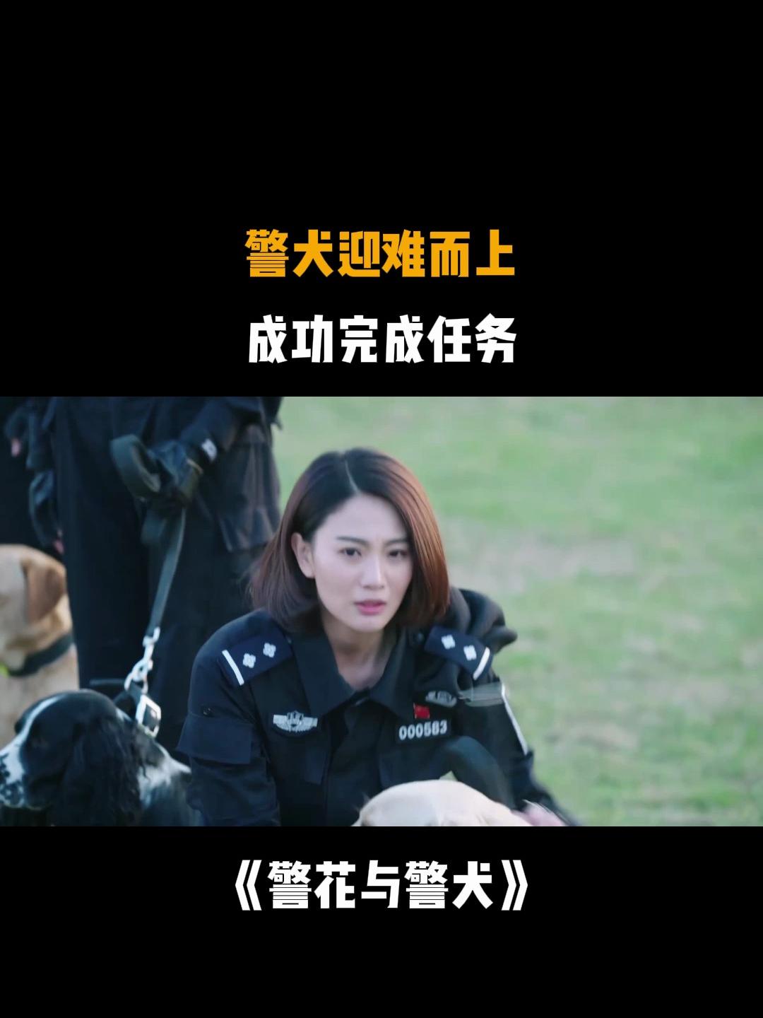 警花与警犬剧情分集介绍(警花与警犬剧情分集介绍电视猫)