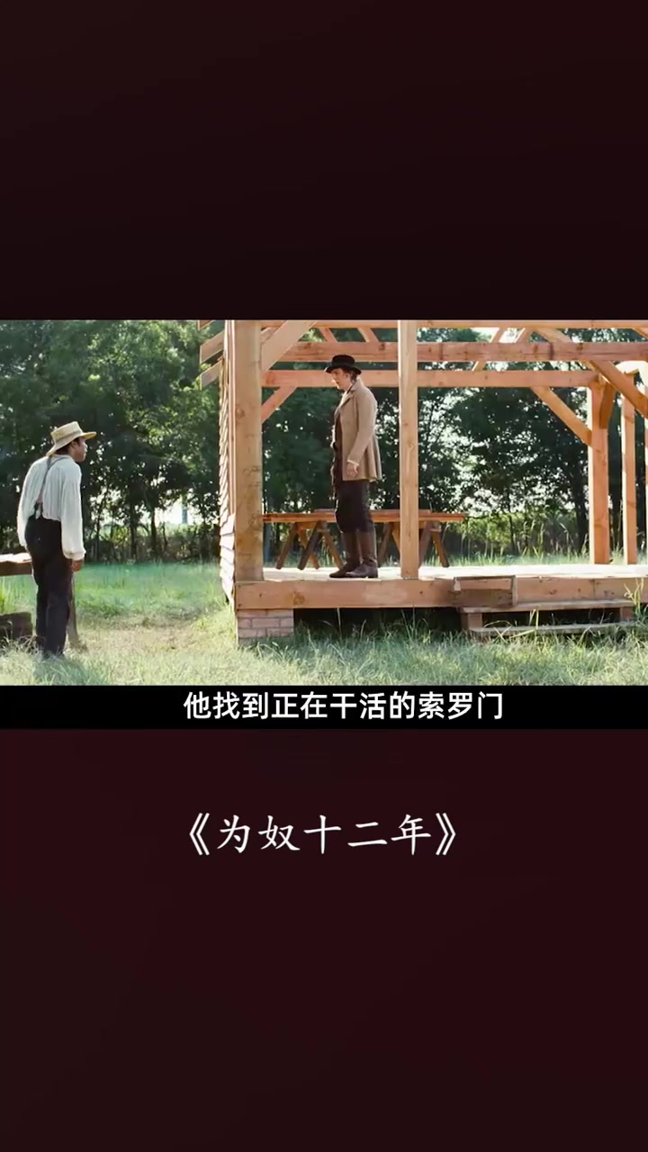 为奴十二年剧情介绍(为奴十二年讲的什么故事)