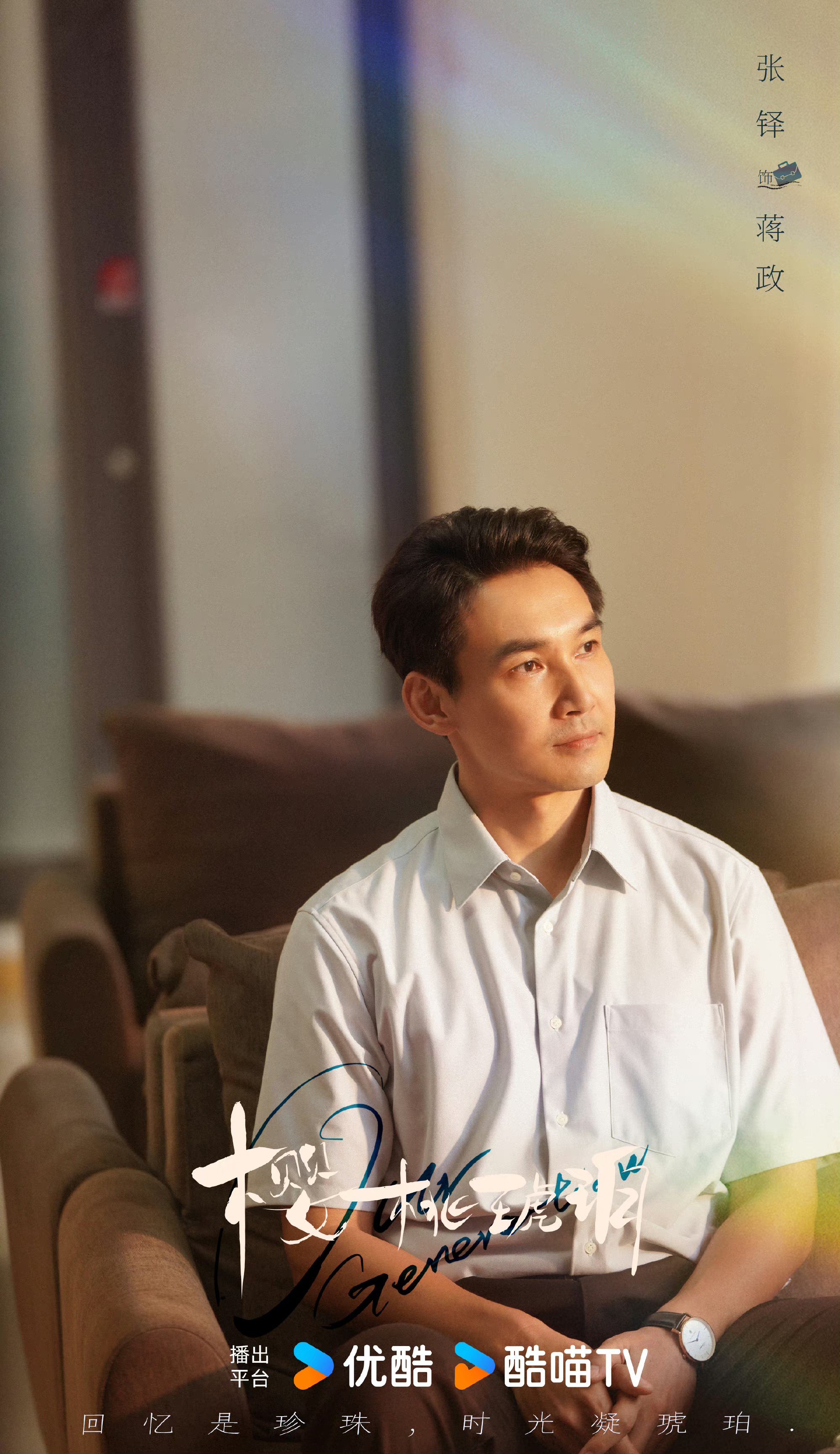 王阳主演的电视剧(王阳主演的电视剧大全2024年)