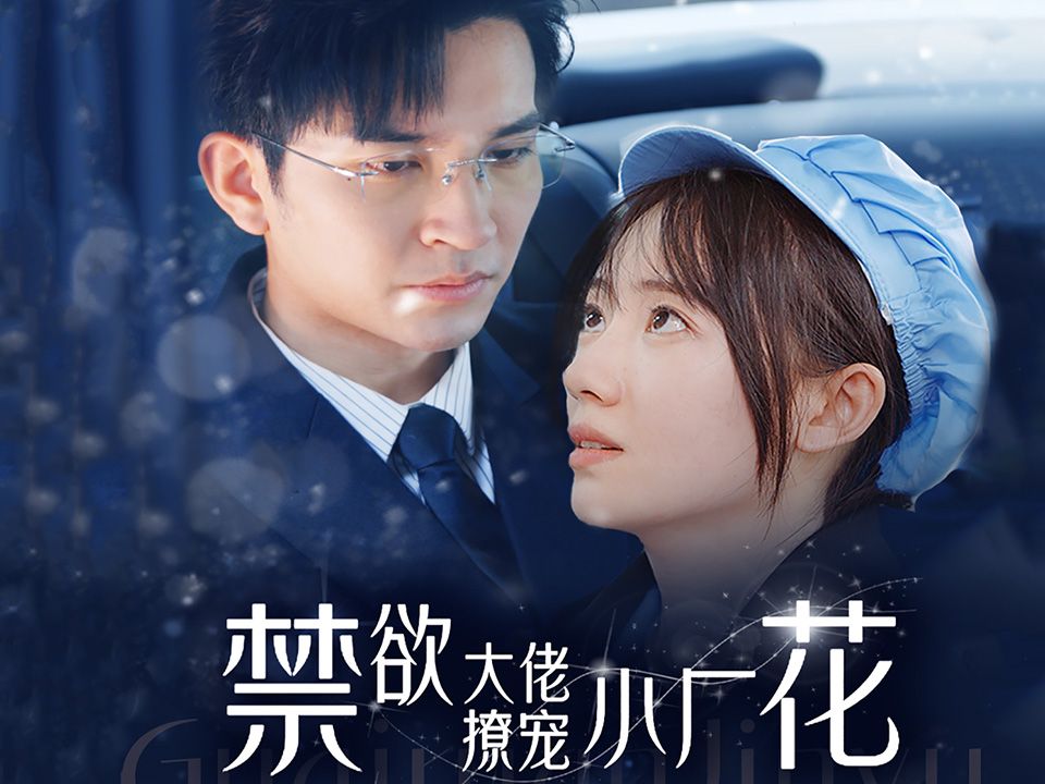 厂花电视剧剧情介绍(厂花电视剧剧情介绍电视猫)
