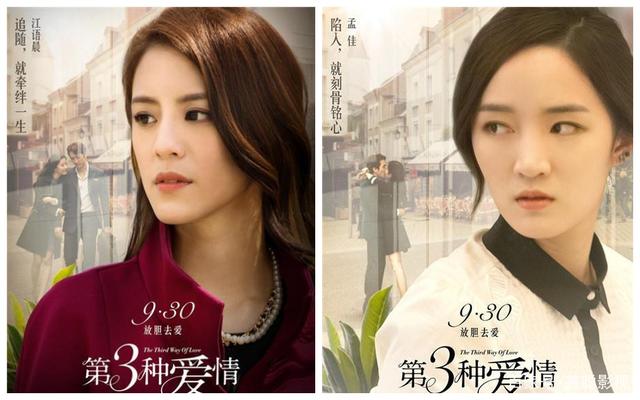 第三种爱情剧情介绍(第三种爱情电视剧角色介绍)