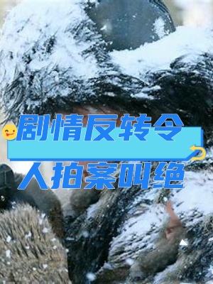 悬崖之上剧情介绍(悬崖之上剧情介绍雷佳音)