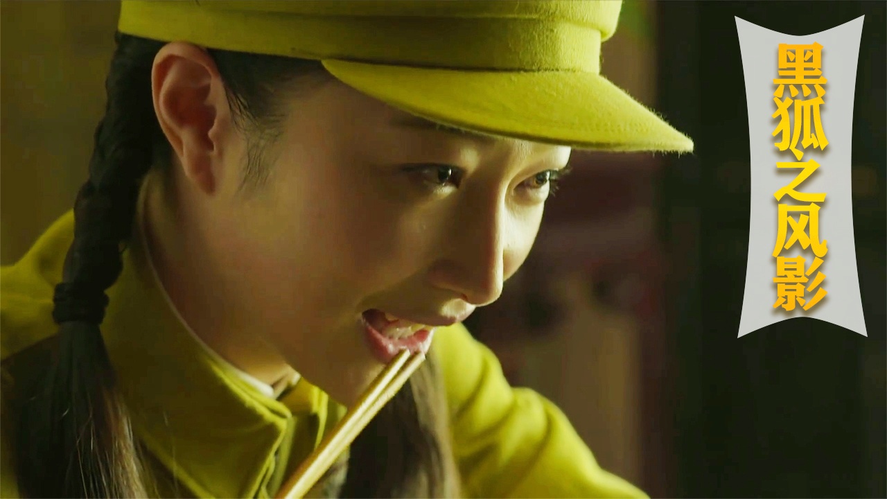 黑狐剧情介绍(黑狐剧情介绍电视剧全集)