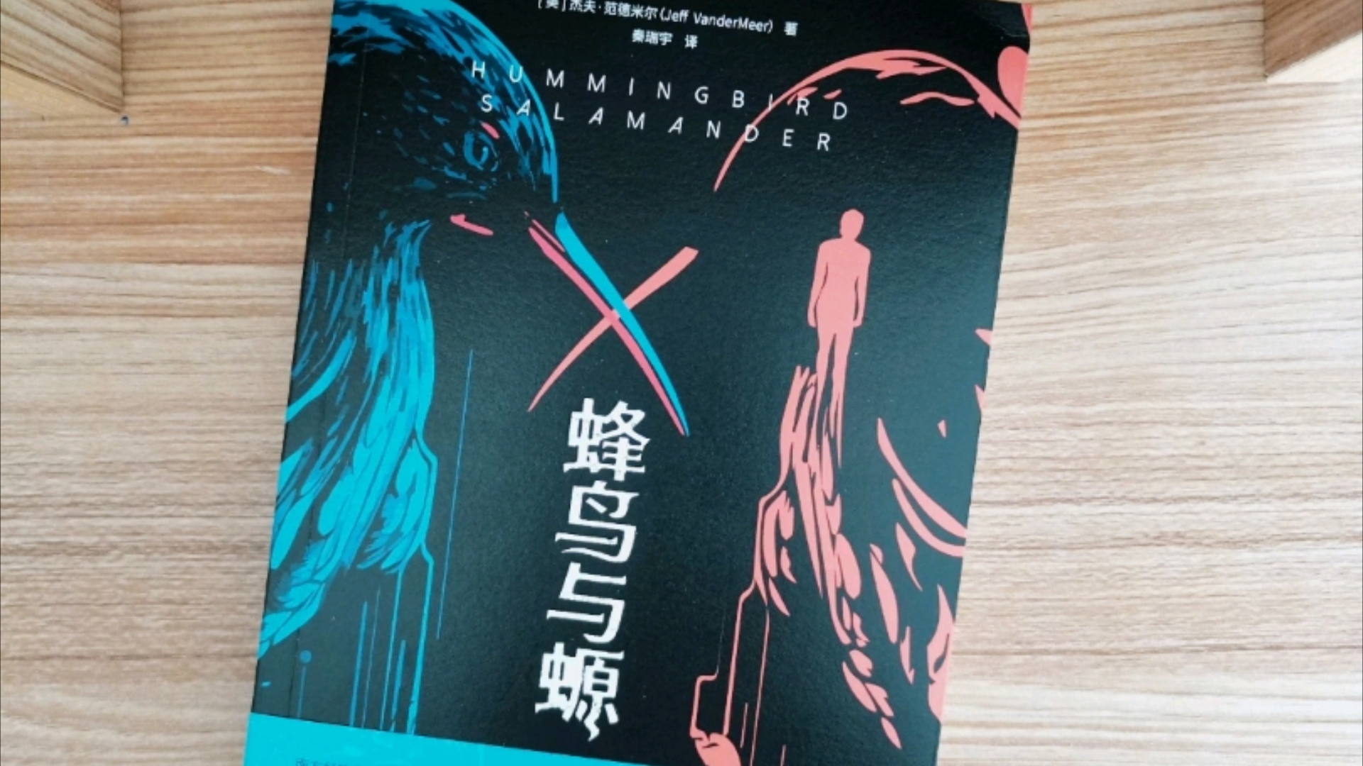 蜂鸟剧情分集介绍(蜂鸟剧情分集介绍视频)