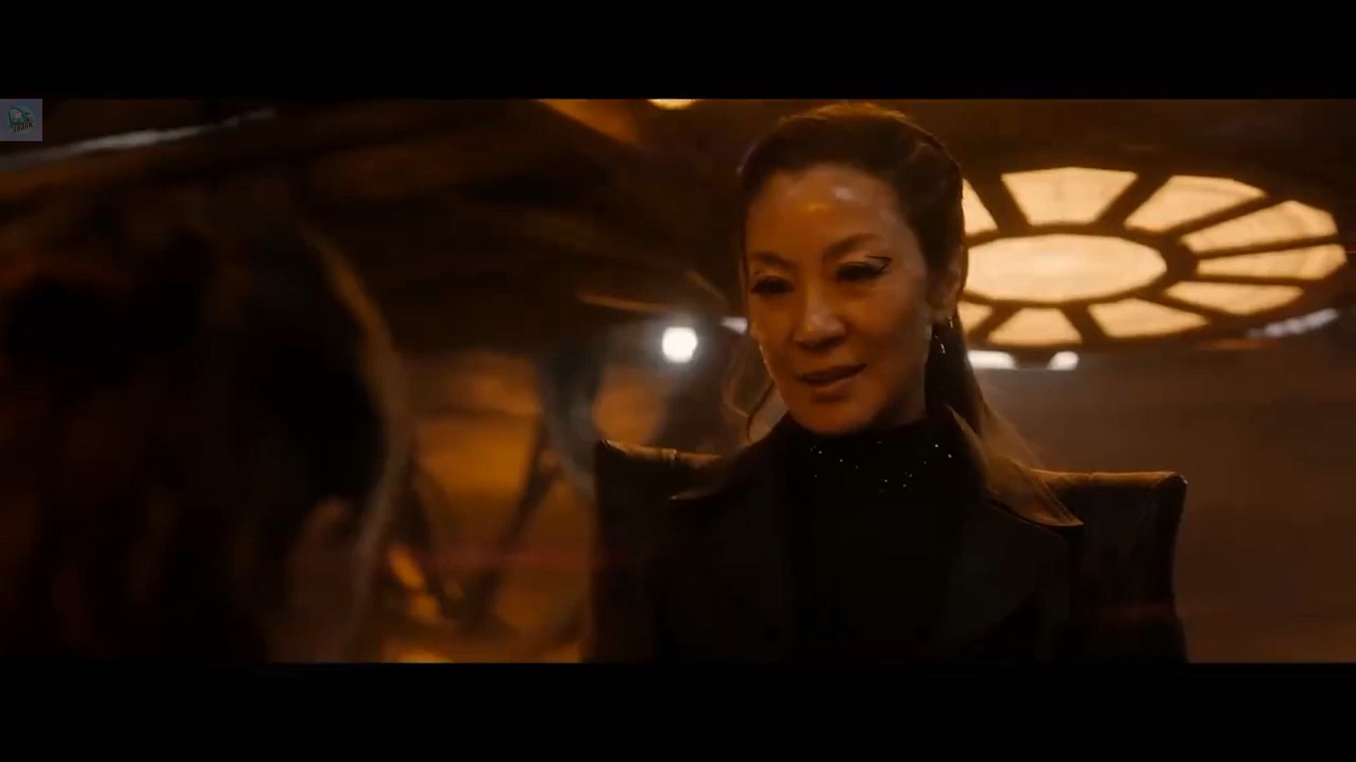 杨紫琼主演的电影(周润发和杨紫琼主演的电影)