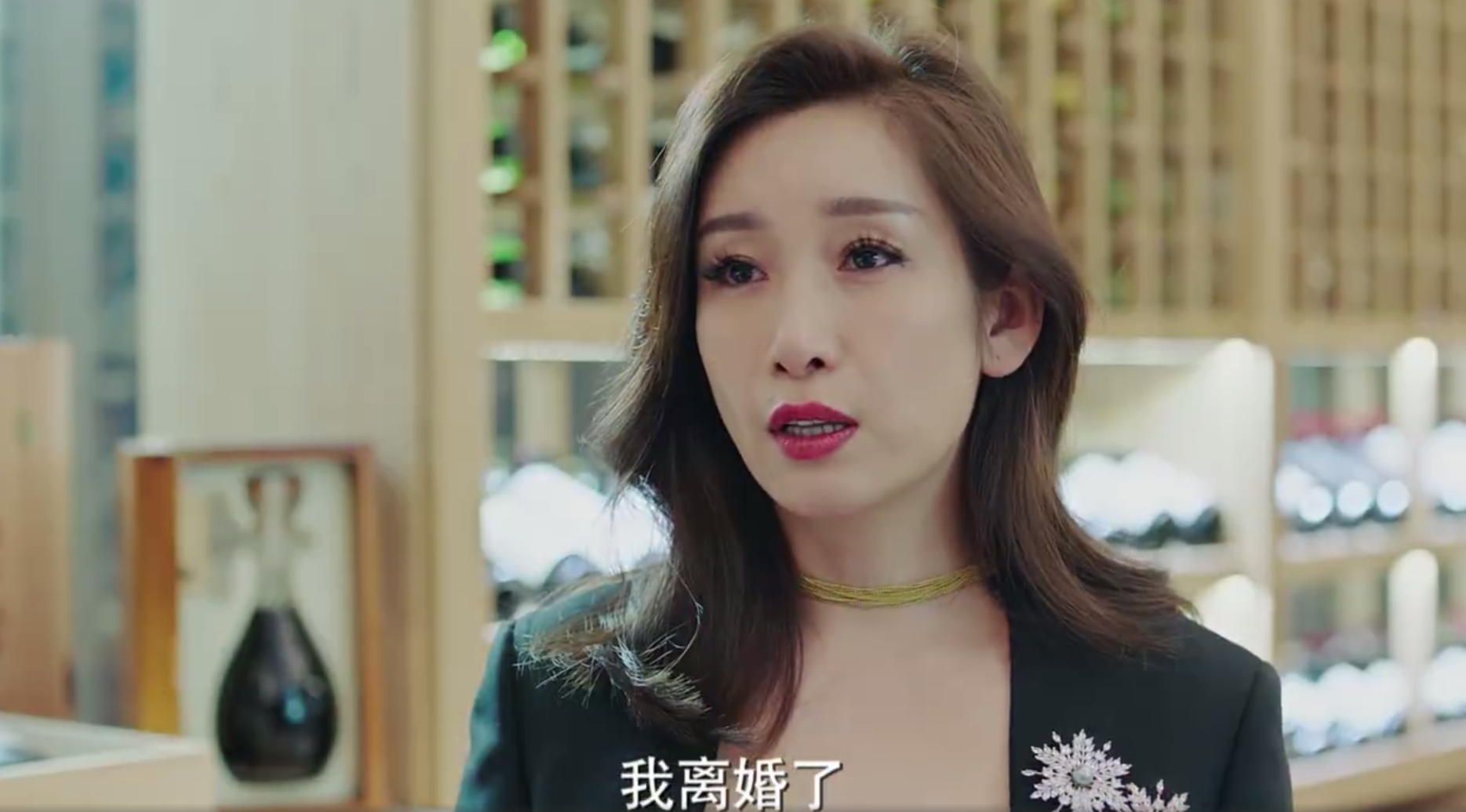 秦海璐主演的电视剧(曹炳琨和秦海璐主演的电视剧)