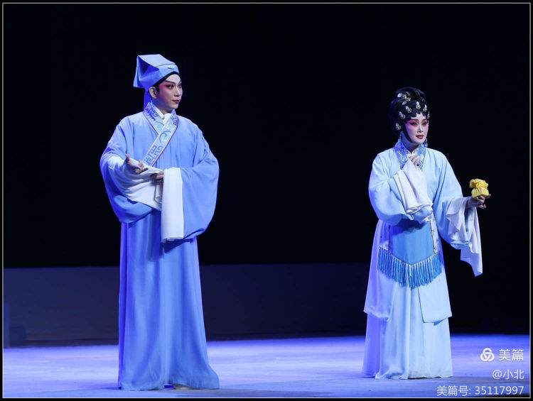 五女拜寿剧情介绍(五女拜寿剧情介绍分析)