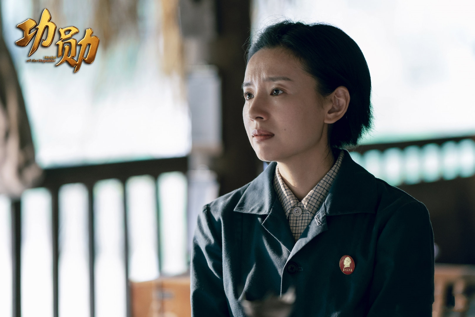 功勋电视剧剧情介绍(功勋电视剧剧情介绍柳云龙)