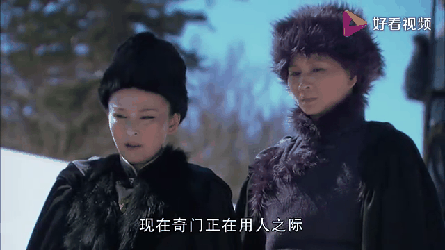 雪鹰剧情介绍(雪鹰电视剧大结局)