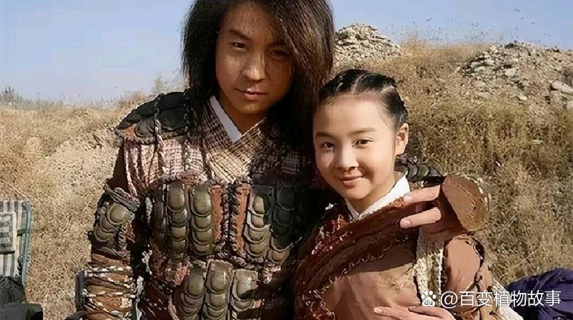 少年包青天3剧情介绍(少年包青天3剧情介绍详细)
