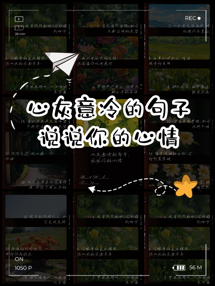 爱意将熄_爱意将熄短剧全集