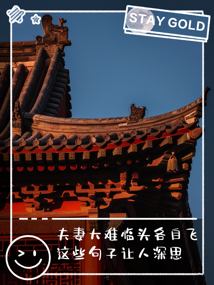大难临头各自飞_大难临头各自飞图片