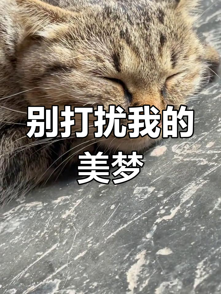 别吵她睡觉_别吵她睡觉短剧百度云