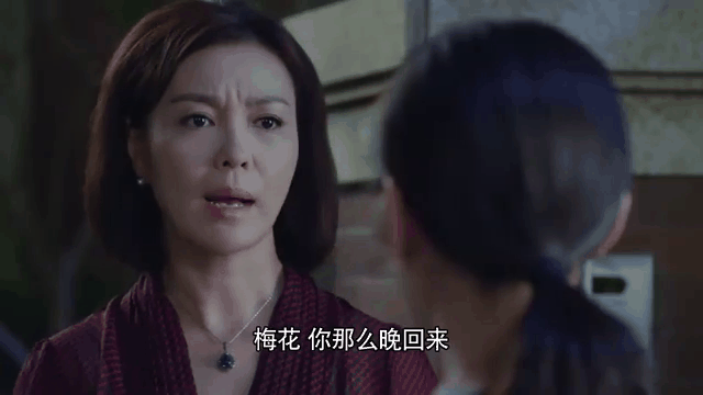 梅花儿香剧情介绍_梅花儿香149集免费观看