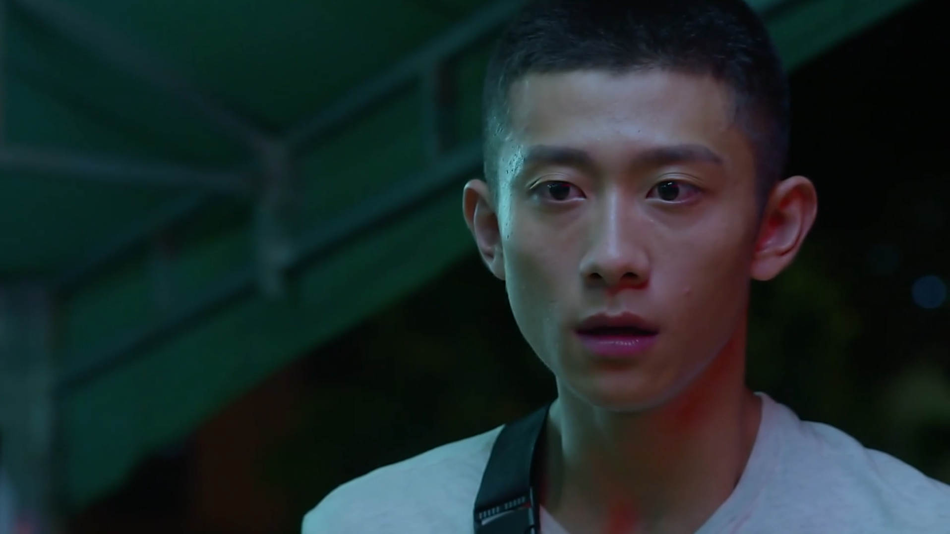 张一山主演的电视剧_张一山主演的电视剧有哪些