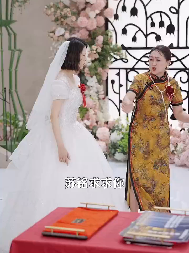彩礼谈崩后我转身娶了美女总裁_彩礼谈崩后我转身娶了美女总裁1短剧在线观看