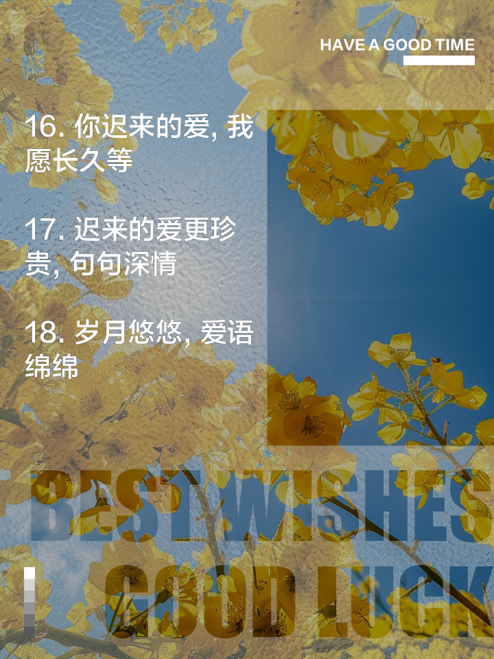 迟来的爱_迟来的爱简谱
