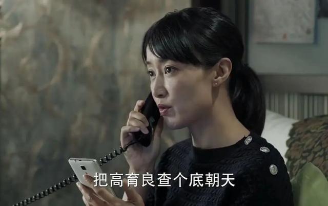 人民的名义剧情介绍_人民的名义剧情介绍高小琴