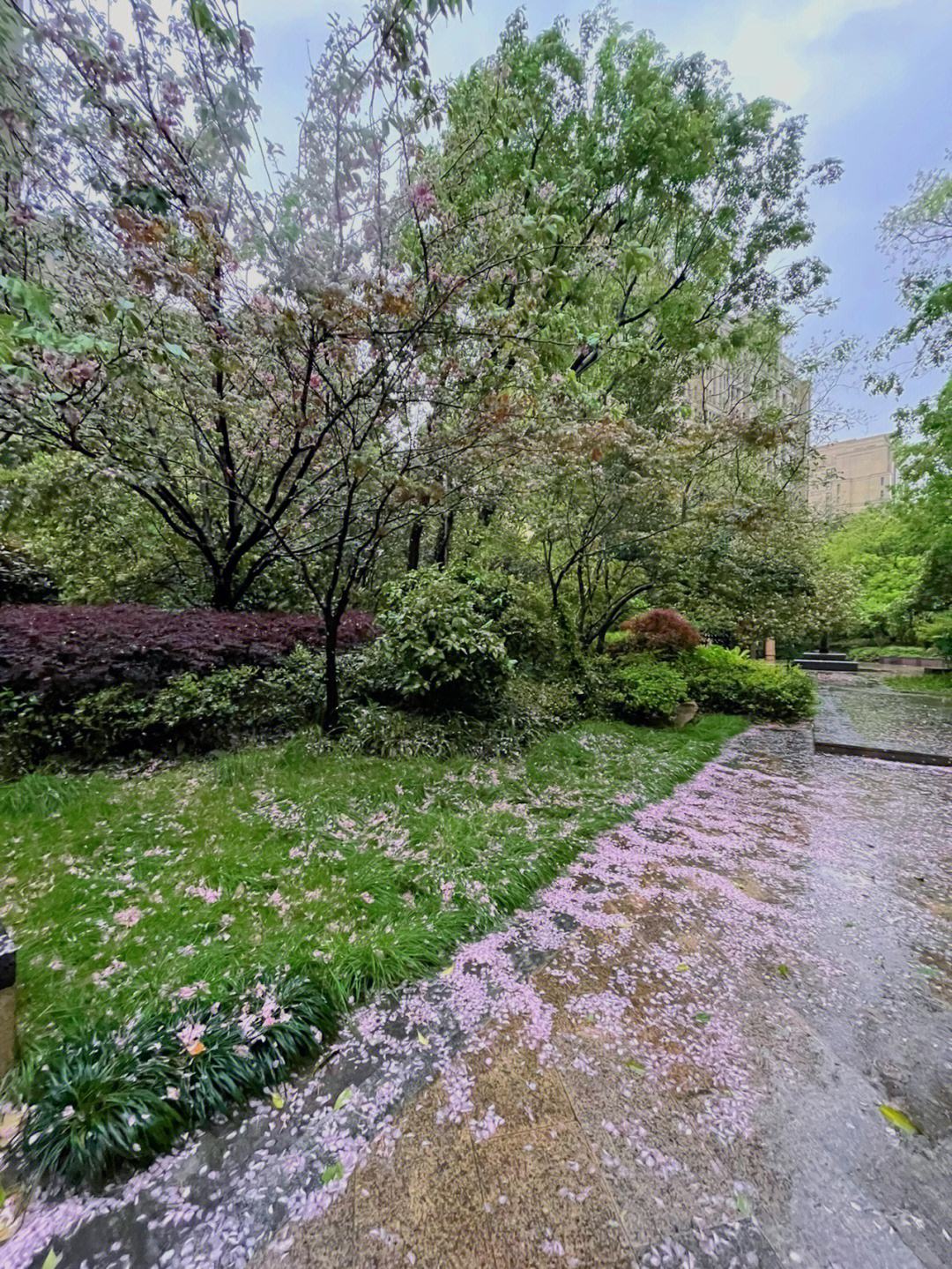春风化雨_春风化雨电视剧免费观看全集