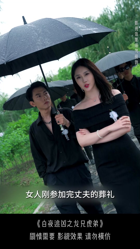 白夜追凶之龙兄虎弟$龙虎之喋血追凶的简单介绍