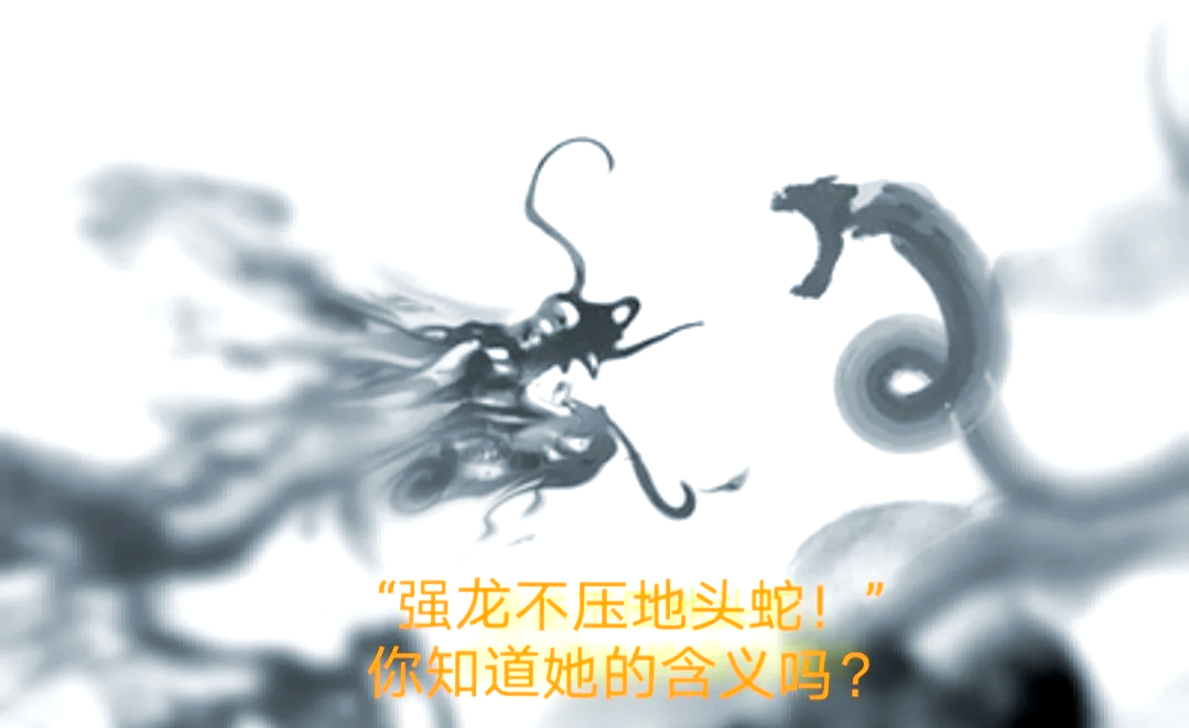 不是强龙不过江_不是强龙不过江什么意思
