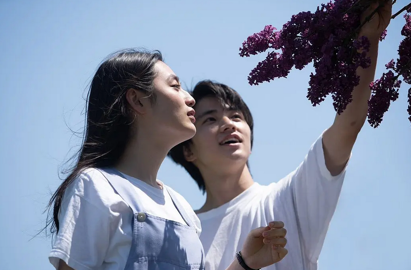 爱在生命交织时_爱在生命交织时的英文