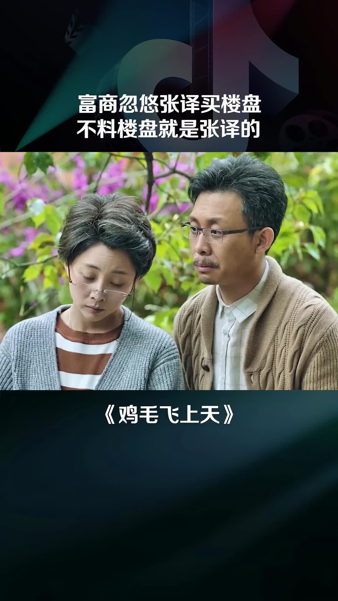 鸡毛飞上天剧情介绍_鸡毛飞上天剧情介绍完整版