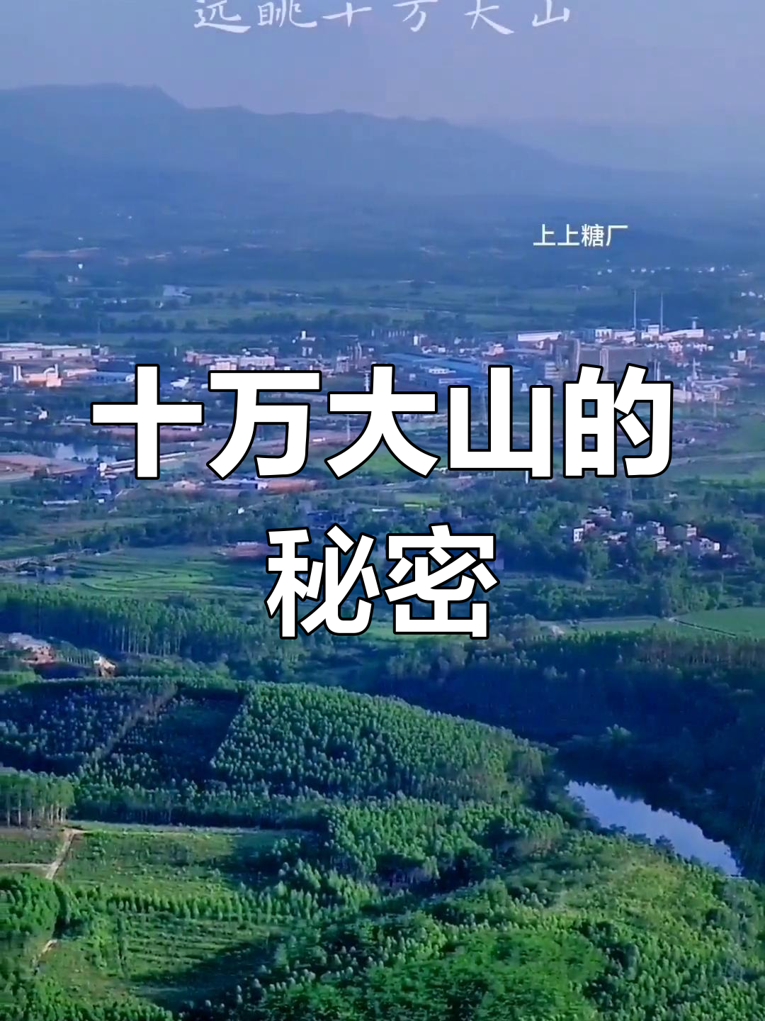 大山里的秘密_大山里的秘密养蜂人