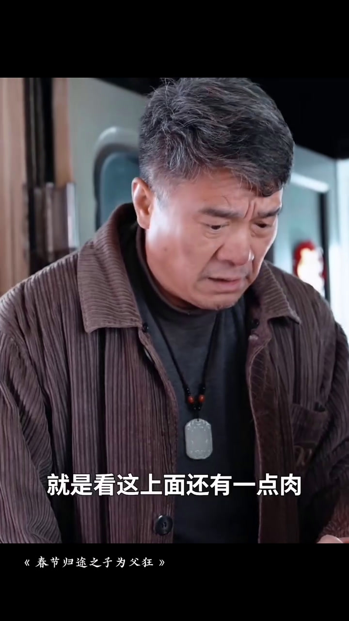 春节归途之子为父狂_春节归途之子为父狂短剧热播